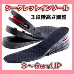 シークレットインソール 中敷 男女兼用 身長アップ 3層構造 最大6cmアップ