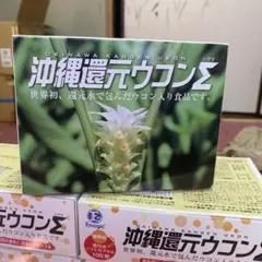 Enagic 還元ウコン茶 60包入 - メルカリ
