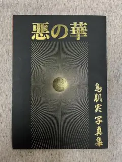 鳥肌実 鳥肌翼賛会 零戦卓布(ご本人様のサイン入りです) 2025年最新】鳥肌実 サインの人気アイテム - メルカリ