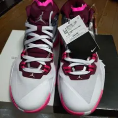 Item thumbnail for item cb9e9da8-29b2-4cf7-be98-e1de99104f62