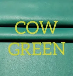 Item thumbnail for item c18aaecd-83ea-4a3b-89bf-403a736bea1a