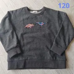 恐竜 刺繍 トレーナー 120