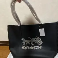 Item thumbnail for item 4457cb7a-5914-429b-a304-659d65c5ba1f