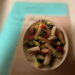 vege diary tomoko nagao 料理本
