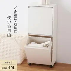 ケユカ rectie 分別ボックス 深2段 W37×D22×H89cm ゴミ箱白のサムネイル