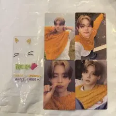 ALD1 popup ラントレ サンウォン