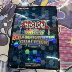 遊戯王 WCQ 青 六角形 72枚 2019 2026年最新】wcq 2019の人気アイテム - メルカリ