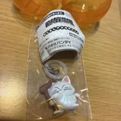 ドラゴンボール めじるしアクセサリー4 カリン