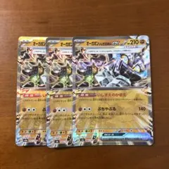 オーガポンいしずえのめん　ex RR 3枚　②