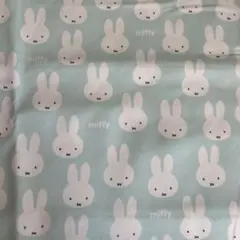 Item thumbnail for item 46b5999f-f891-4cb9-838a-6f755814d230