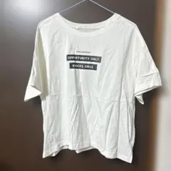 ページボーイ　ロゴTシャツ 新品未使用　値下げ‼️