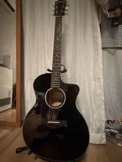 2026年最新】テイラー 214ceの人気アイテム - メルカリ