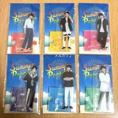 Snow Man アクリルスタンド　アクスタ　サマパラ