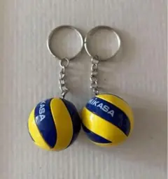 セール中　バレーボールキーホルダー　同種2個セット