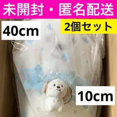 2026年最新】モンリョンイ 40cmの人気アイテム - メルカリ