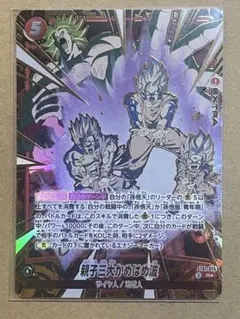 2026年最新】レアリティ：R(パラレル) ドラゴンボールカード_