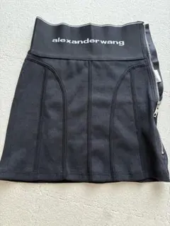 2025年最新】Alexander Wang レディース ミニスカートの人気アイテム
