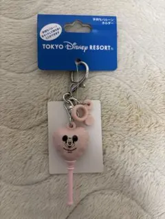 東京ディズニーリゾート 手持ちバルーンホルダー