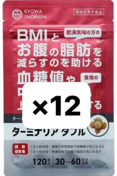2026年最新】ターミナリ ダブルの人気アイテム - メルカリ