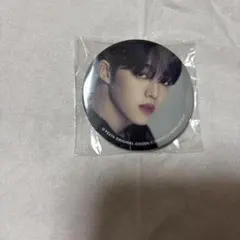 dfesta SEVENTEEN エスクプス　缶バッジ