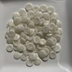 銀竜草様 リクエスト 2点 まとめ商品