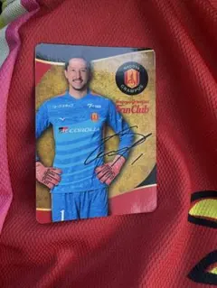 Item thumbnail for item 1786a295-c4b7-436f-bb40-adb79965262f