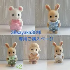 ＊38sayaka38様専用ご購入ページ