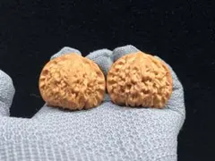 Item thumbnail for item c1a15db2-b805-4843-948f-145c523c8423