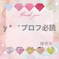 y * ゜プロフ必読様