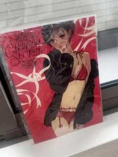 マツオヒロミ 同人誌 CHANSON SECRET アートブック