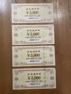 早稲田アカデミー 株主優待券 4枚セット 20000円　5,000円 ×2