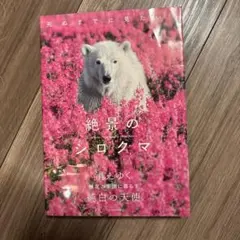 Item thumbnail for item 238503ad-0e46-4f40-bcc3-a99c4eeee9a8