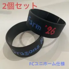 中日ドラゴンズ　ファーム　ラバーバンド　2個セットのサムネイル