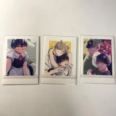 誰か夢だと言ってくれ　ぱしゃこれ　3枚セット