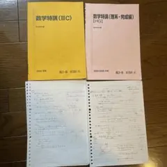 2025年最新】数学特講 米村の人気アイテム - メルカリ