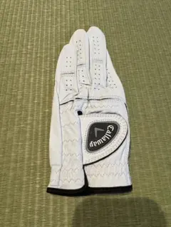 Item thumbnail for item bb3078ca-5398-47e7-95e6-9023e223eb2b