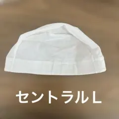 Item thumbnail for item e60f6cd9-8551-4c56-8757-efa81c8e3d8e