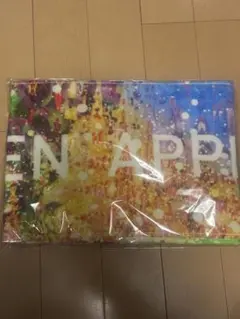 Mrs.GREEN APPLE 「10」マフラータオル ミセスグリーンアップル