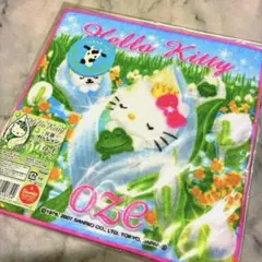 Item thumbnail for item e8f7ab51-4f18-4c1e-b4a7-046b9dcc6970