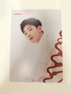 SEVENTEEN セブチ ウジ フライヤー 24H 渋谷 タワレコ - メルカリ