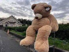 コストコ　大きいクマ　約140cm
