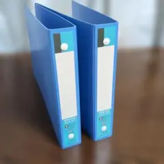 Item thumbnail for item 3f91e6c5-13a8-4021-a685-06d85b11f570