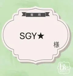 SGY⭐︎様専用