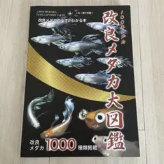 Item thumbnail for item 88b9aa74-b939-4ef7-a6f8-0bbc518f393a