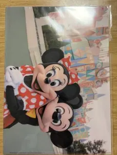 【美品】東京ディズニーランド クリアファイル　実写