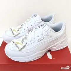 Item thumbnail for item 7644b983-2200-463c-87bf-b408dd085741