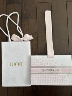 DIOR ショッパー袋　2枚セット