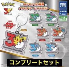 ポケモン30周年メタルチャームめじるしアクセサリー7種コンプリートセット