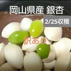 2026年 岡山県産 訳あり銀杏 ぎんなん700g サイズ無選別のサムネイル
