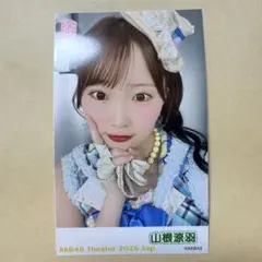 AKB48 山根涼羽 2026年9月 ガラポン チェキ トレカ
